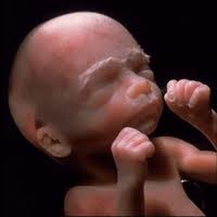 Baby Born